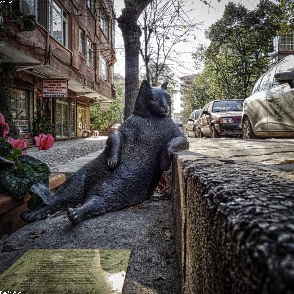 Bestselling Novel Collection