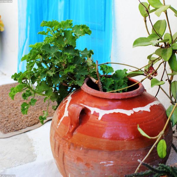 Ceramic Plant Pot Set