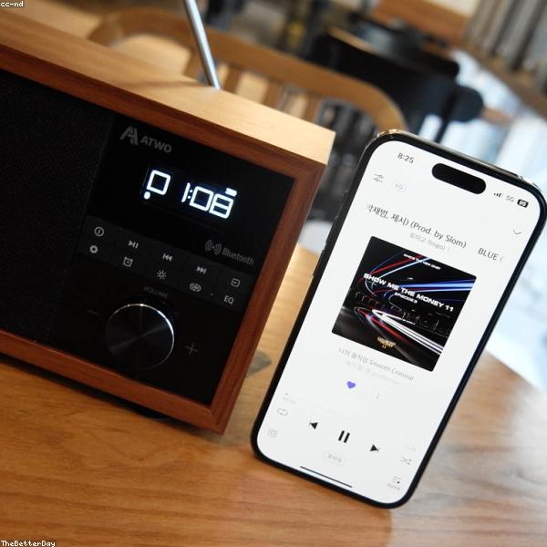 Wireless Bluetooth Headphones